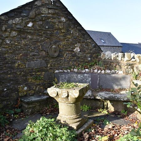 Crug Glas Country House Hostal Saint David's Exterior foto