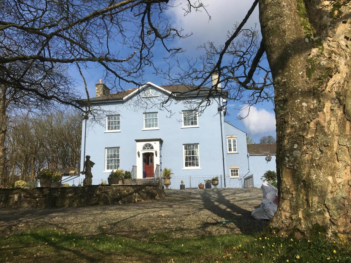 Crug Glas Country House Hostal Saint David's Exterior foto