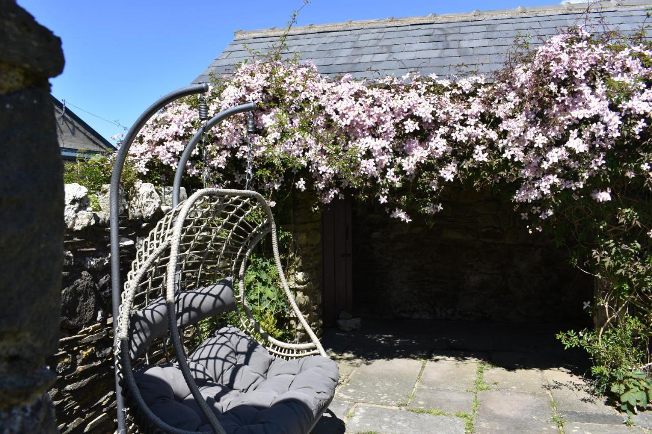 Crug Glas Country House Hostal Saint David's Exterior foto