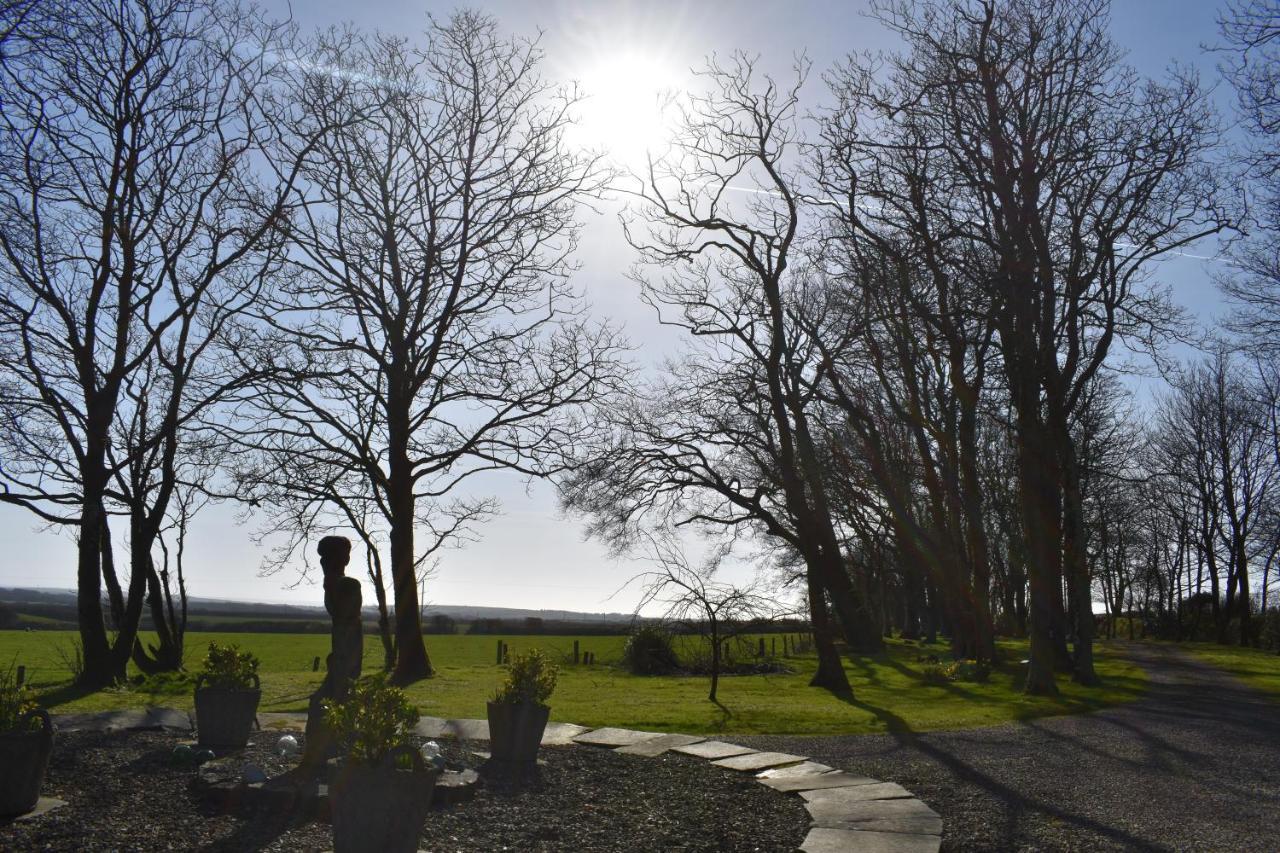 Crug Glas Country House Hostal Saint David's Exterior foto