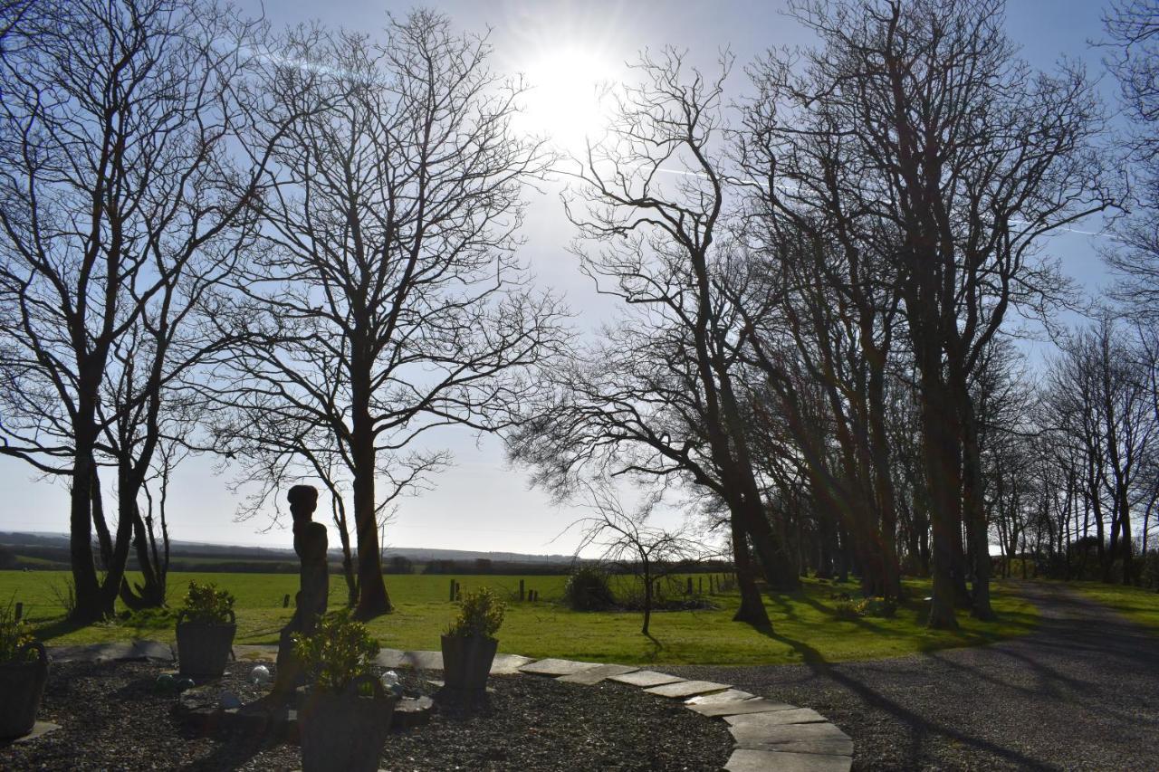 Crug Glas Country House Saint David's Exterior foto
