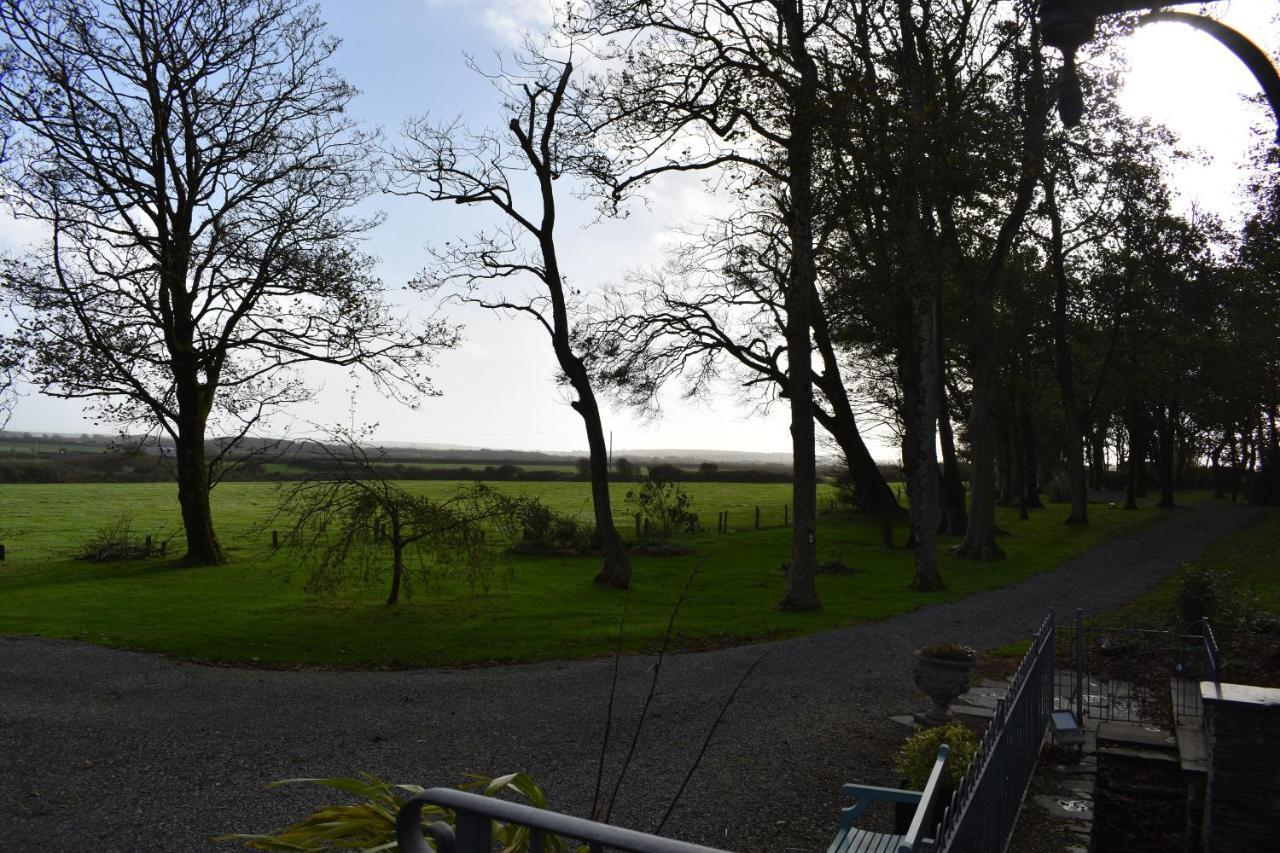 Crug Glas Country House Saint David's Exterior foto