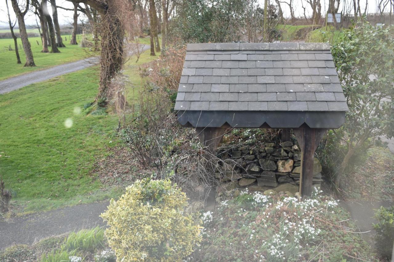 Crug Glas Country House Hostal Saint David's Exterior foto