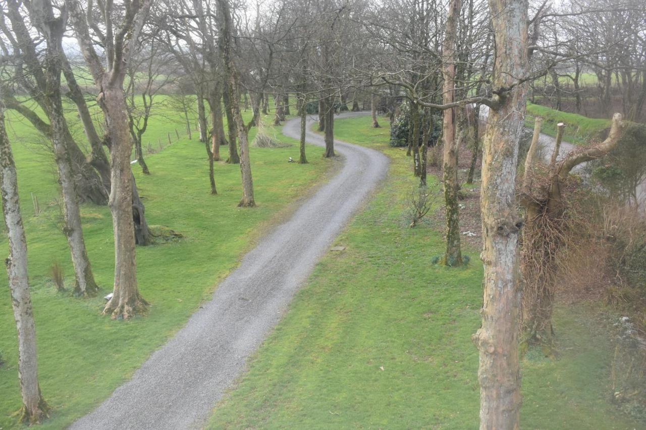 Crug Glas Country House Hostal Saint David's Exterior foto