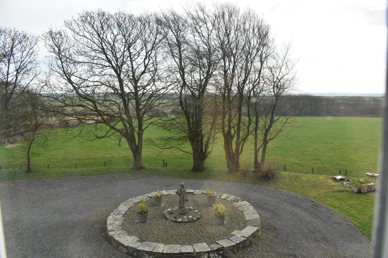 Crug Glas Country House Saint David's Exterior foto