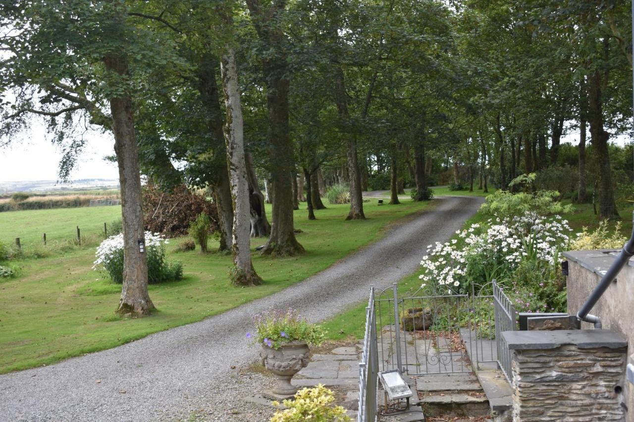 Crug Glas Country House Hostal Saint David's Exterior foto